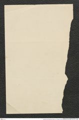 Nachlass Franz Steindachner, Brief von A. B. Meyer an Franz Steindachner (01.05.1883), Inv.Nr. 337.17, Seite 2